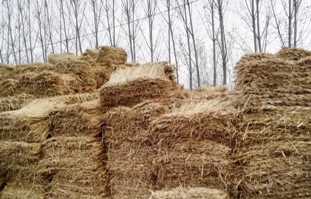 宁夏葫芦娃app下载汅api免费网址厂家 宁夏葫芦娃app下载汅api免费网址厂家